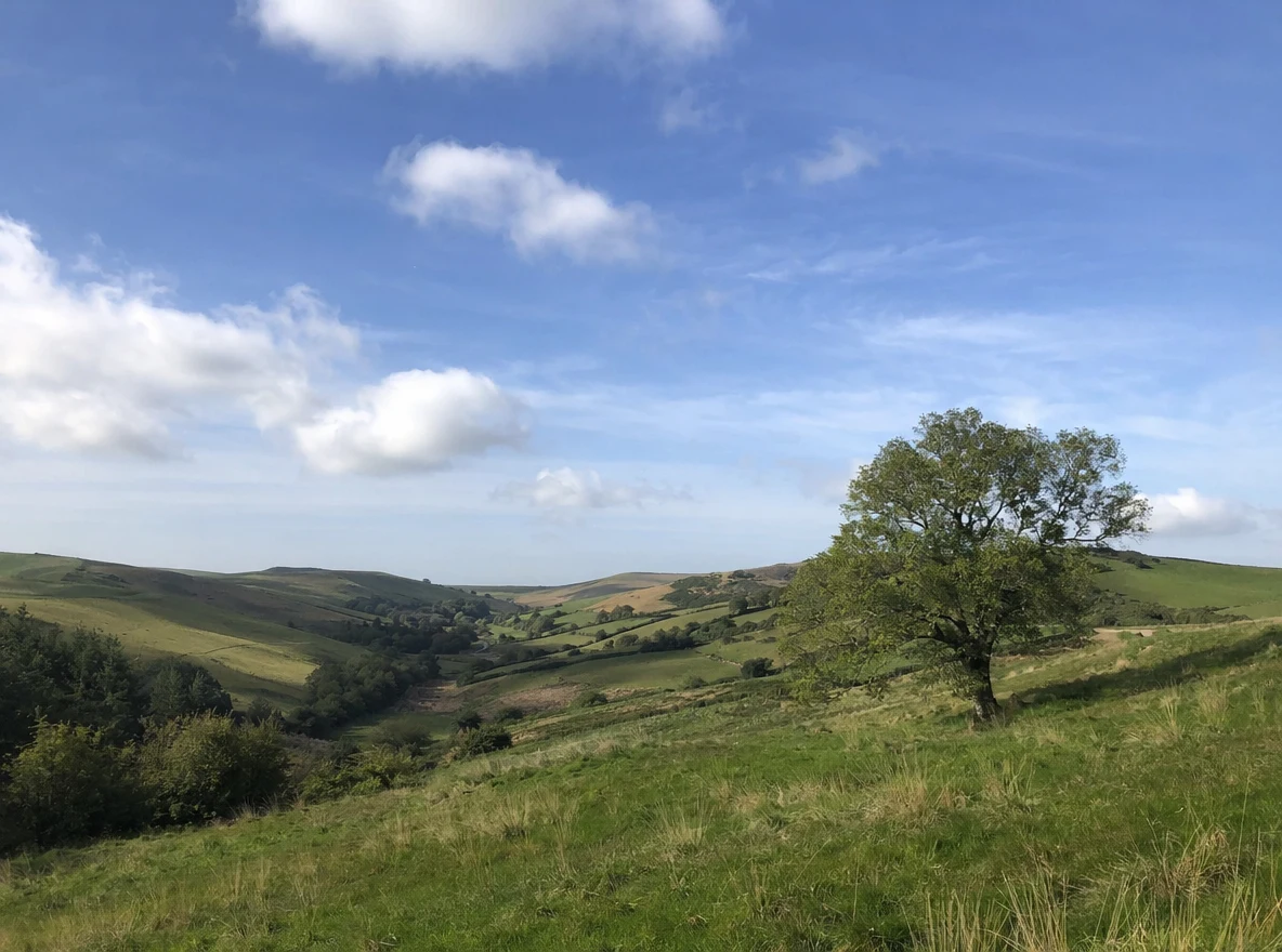 Before — Landscape painting