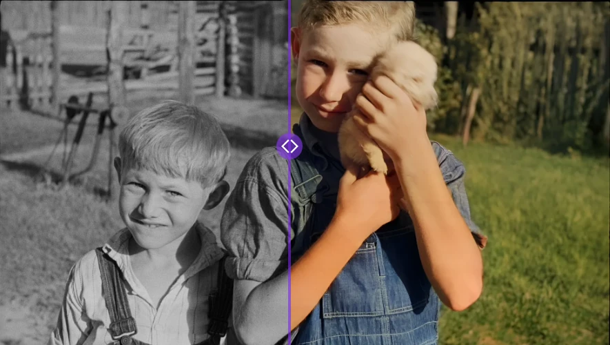 AI Image Colorizer