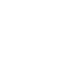 Ideogram
