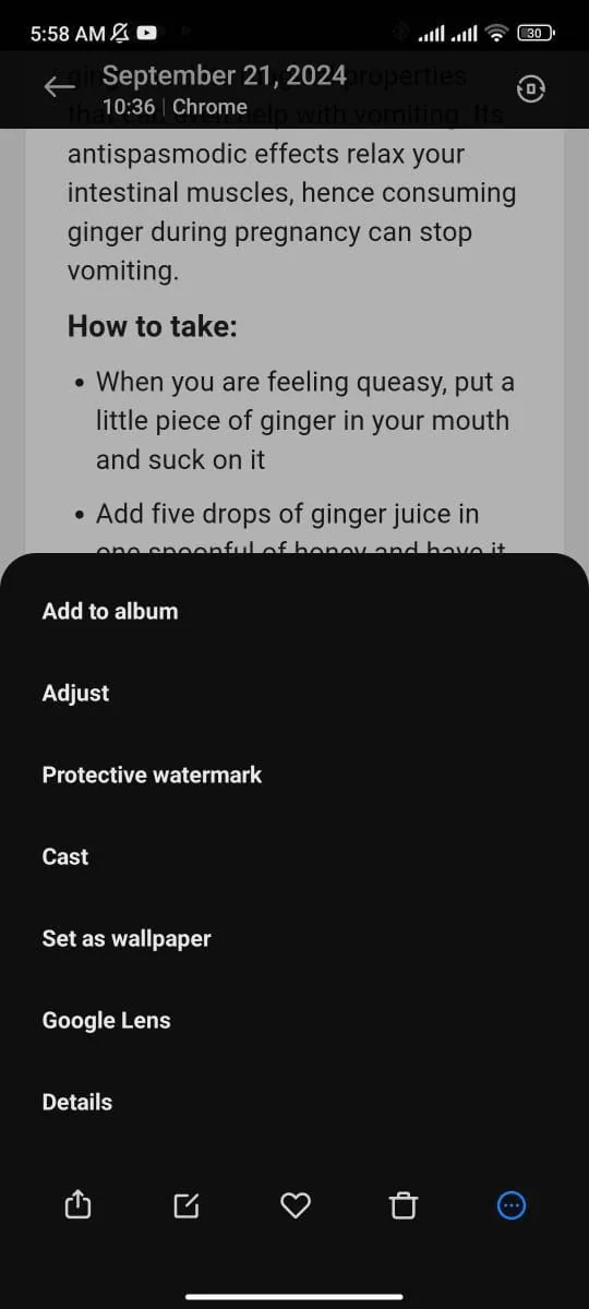 Smartphone screenshot displays dark photo-options menu over a Chrome webpage about ginger, with status icons and bottom toolbar.